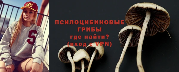 молекула духа Бронницы
