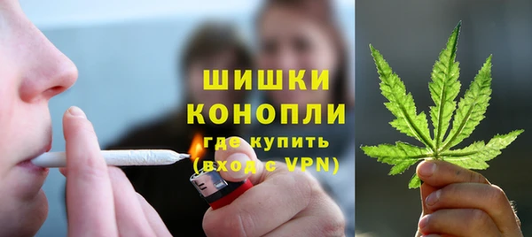 молекула духа Бронницы