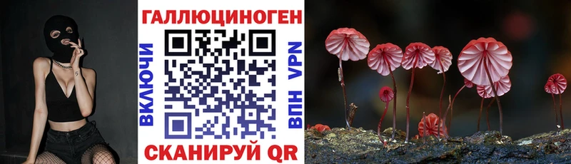 площадка телеграм  Тотьма  Псилоцибиновые грибы Cubensis  hydra зеркало 